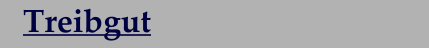 Treibgut